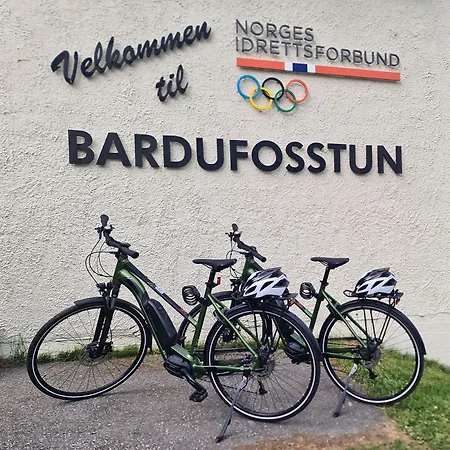 Bardufosstun