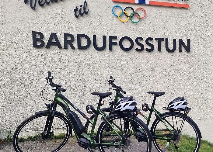 Bardufosstun